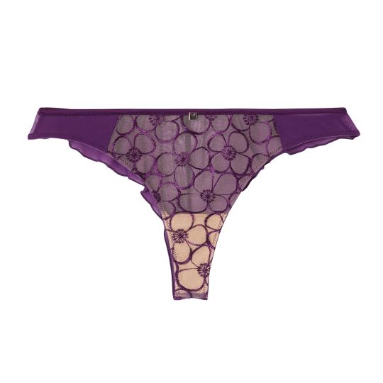 Tanga violet Venus