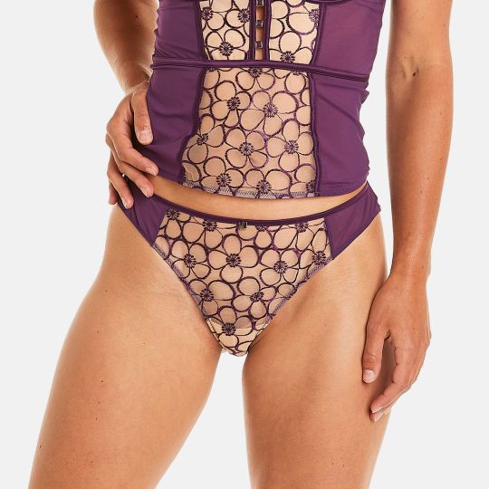 Tanga violet Venus